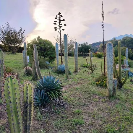 Casa Doria - Sea, Pool, Mountains, Relax Holiday home