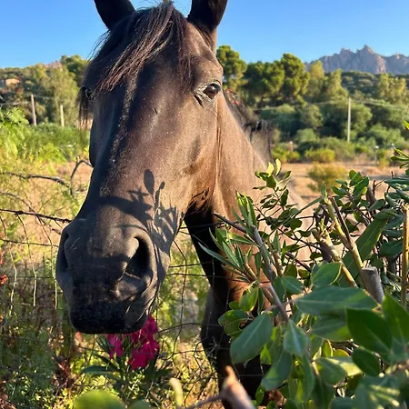 Ferienhaus Casa Doria - Sea, Pool, Mountains, Relax Marina di Gairo